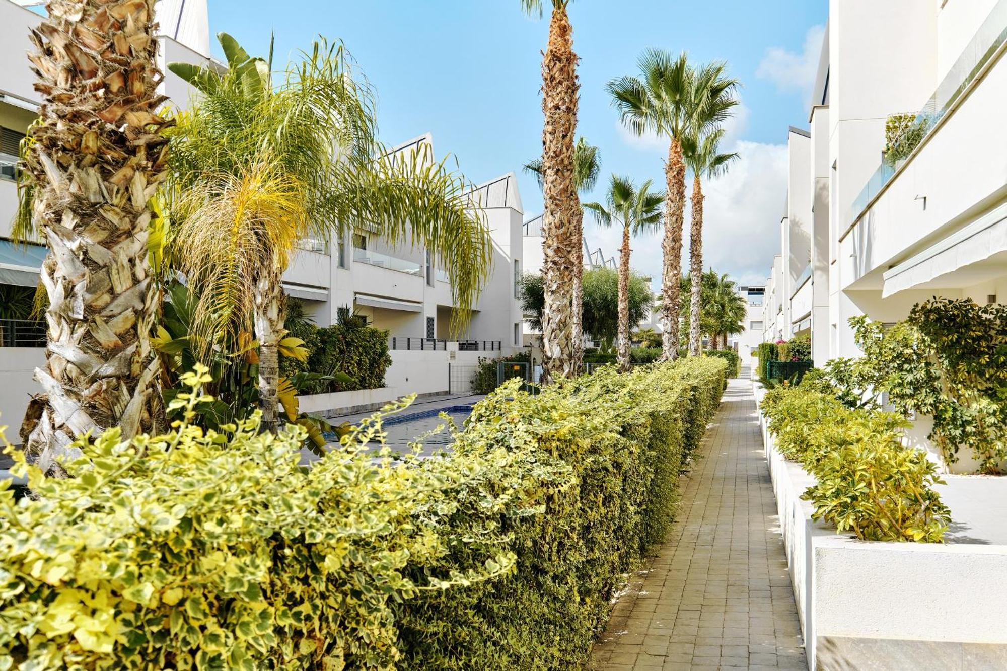 Apartamento Villa Amalia Torrevieja Exterior foto